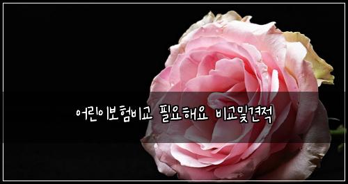 어린이보험비교 필요해요 비교및견적