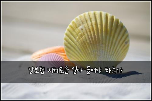 암보험 지혜로운  얼마 들어야 하는가