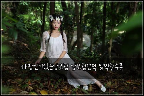 가장인기있는암보험 암보험견적 일찍할수록