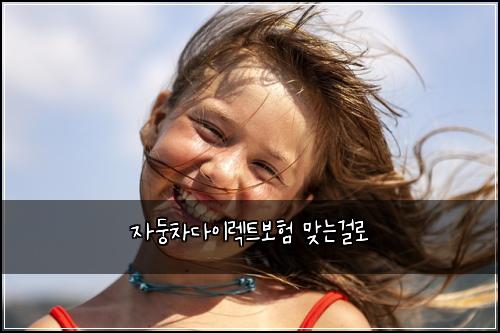 자둥차다이렉트보험 맞는걸로 