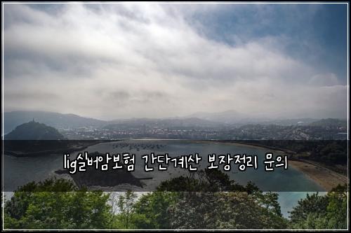 lig실버암보험 간단계산  보장정리 문의