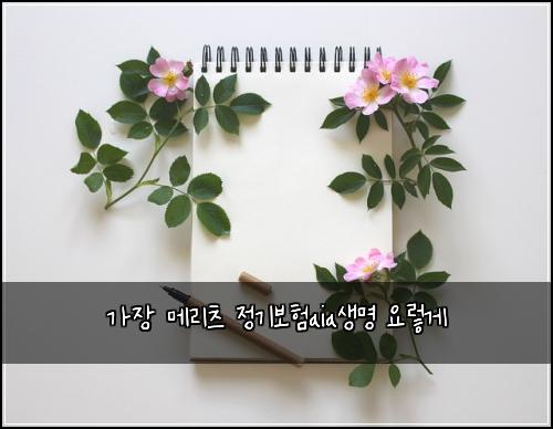 가장 메리츠 정기보험aia생명 요렇게