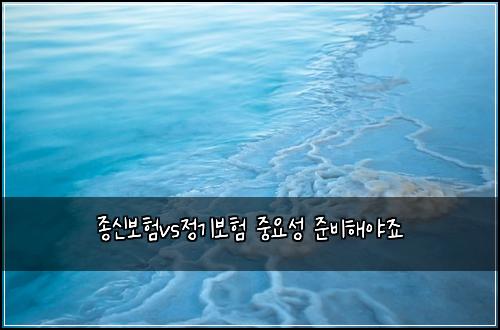 종신보험vs정기보험 중요성 준비해야죠