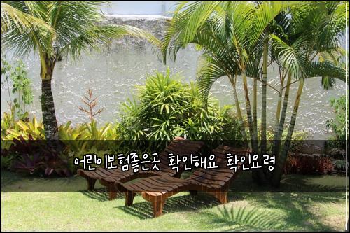 어린이보험좋은곳 확인해요 확인요령