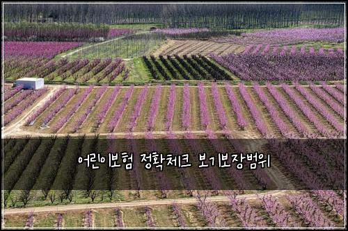 어린이보험 정확체크  보기보장범위