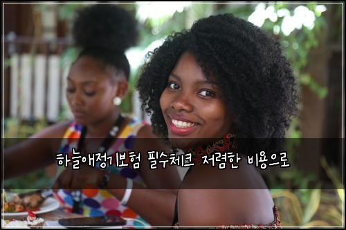 하늘애정기보험 필수체크  저렴한 비용으로