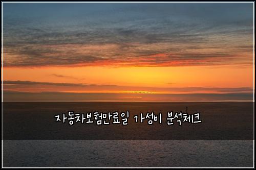 자동차보험만료일 가성비 분석체크