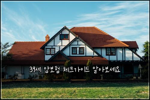 39์ธ ์๋ณดํ ์ฒดํฌ๊ฐ์ด๋ ์์๋ณด์ธ์