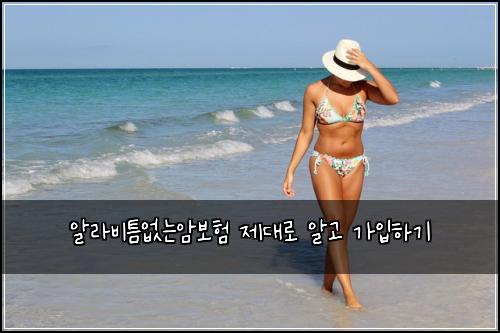 알라비틈없는암보험 제대로 알고 가입하기