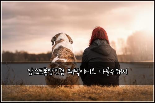 암스트롱암보험 혜택이에요  나를위해서