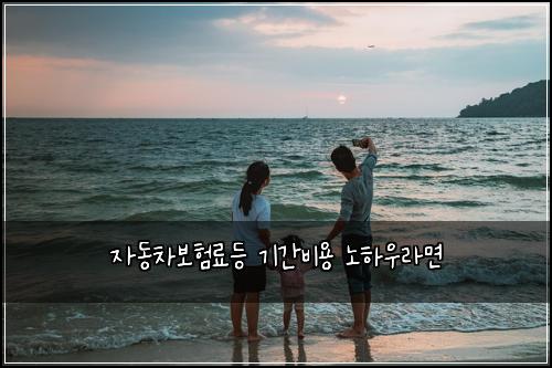 자동차보험료등 기간비용 노하우라면