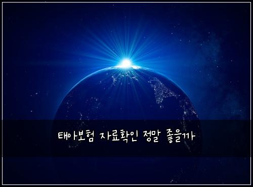 태아보험 자료확인  정말 좋을까