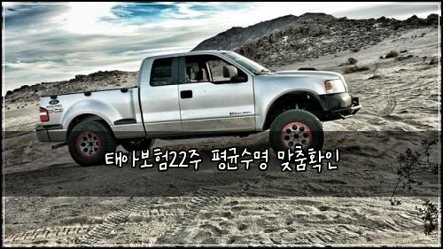 태아보험22주 평균수명 맞춤확인