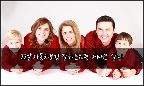 22살자동차보험 잘하는요령  제대로 알자