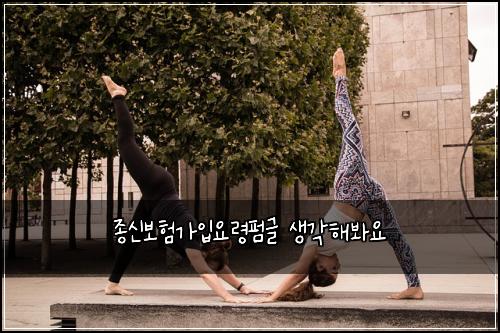 종신보험가입요령펌글 생각해봐요