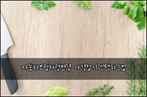 ์๋์ฐจ๋ณดํ์ฐจ๋๋ณ๊ฒฝ ๊ฐ๊ฒฉ์ก๊ธฐ ์ ํํ๋๋ฒ