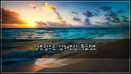 암보험으로 상해보상 특급정보