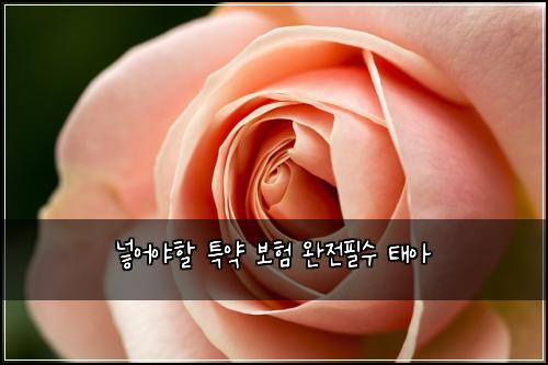 ๋ฃ์ด์ผํ ํน์ฝ ๋ณดํ ์์ ํ์ ํ์