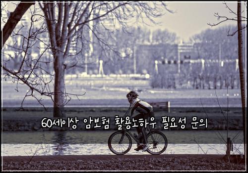 60세이상 암보험 활용노하우  필요성 문의