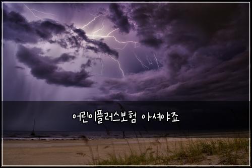 어린이플러스보험 아셔야죠 