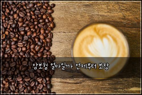 암보험 얼마일까  언제부터 보장