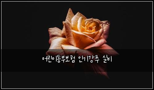 어린이동부보험 인기강추  실비