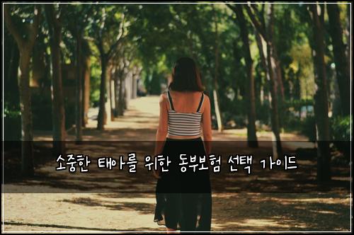소중한 태아를 위한 동부보험 선택 가이드