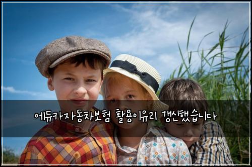 에듀카자동차보험 활용이유리  갱신했습니다