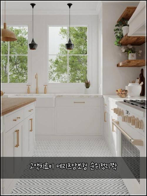 고액치료비 메리츠암보험 순위정리쫙 