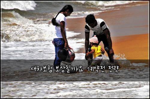 새차보험 보상될까요  계약전 전략