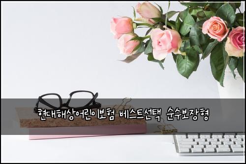 현대해상어린이보험 베스트선택  순수보장형