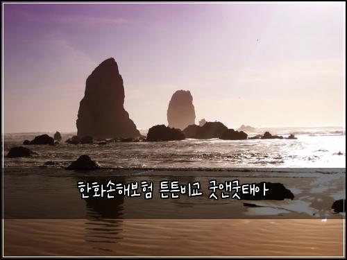 한화손해보험 튼튼비교  굿앤굿태아