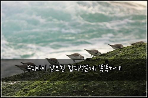 우리아이 암보험 합리적설계  똑똑하게