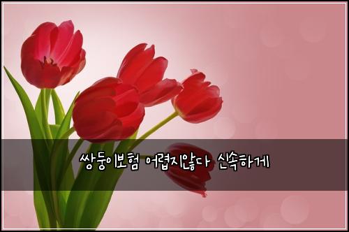 쌍둥이보험 어렵지않다 신속하게