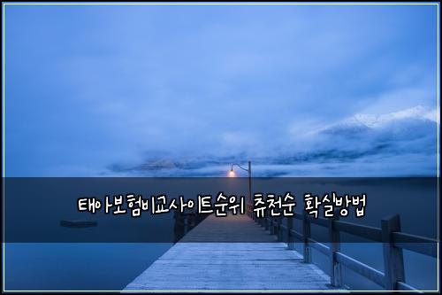 태아보험비교사이트순위 츄천순 확실방법