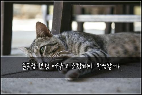 실손정기보험 어떻게 조합해야 현명할까