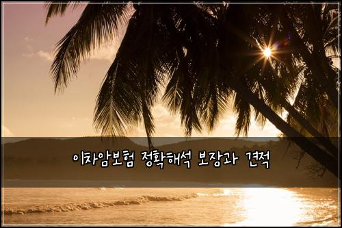 μ΄μ°¨μ보ν μ νν΄μ 보μ₯κ³Ό 견μ 