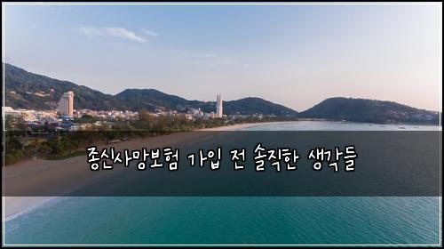 종신사망보험 가입 전 솔직한 생각들