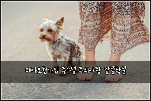 ํ์๋ณดํ๊ฐ์
์ฃผ์๋ณ ์ฃผ์์ฌํญ ์๋ฐํ์ค