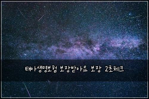 태아생명보험 보장받아요  보장 2초체크
