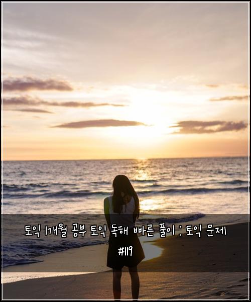 토익 1개월 공부 토익 독해 빠른 풀이 : 토익 문제 #119
