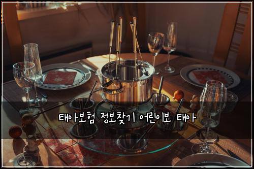 태아보험 정보찾기  어린이보 태아