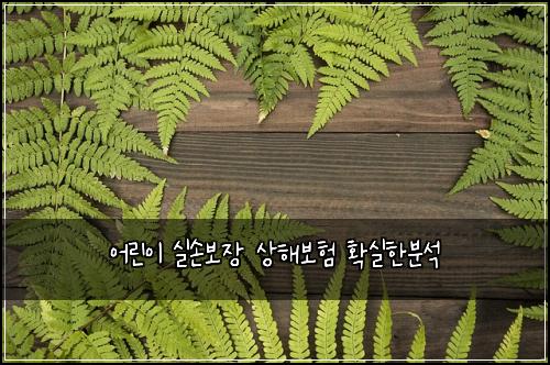 어린이 실손보장 상해보험 확실한분석 