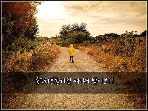 중고차보험가입 여기서 받아보기
