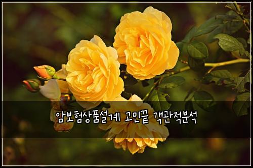 암보험상품설계 고민끝 객관적분석