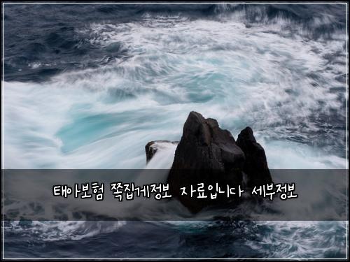 태아보험 쪽집게정보  자료입니다 세부정보