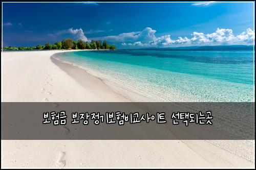 보험금 보장정기보험비교사이트 선택되는곳
