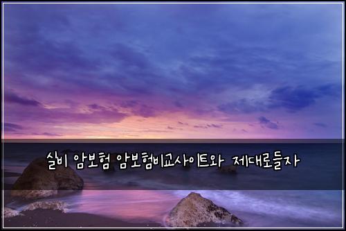 실비 암보험 암보험비교사이트와 제대로들자