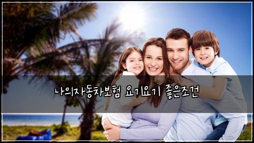 나의자동차보험 요기요기  좋은조건