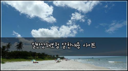 일반상해보험 알찬내용  사이트